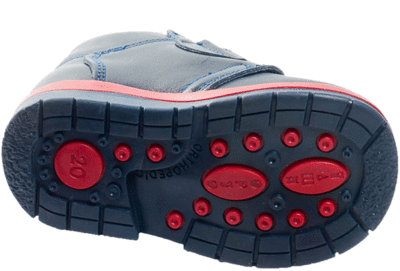     241-031 Detbot (,  1)