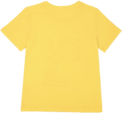   CKBCT05-61 Detbot (,  1)