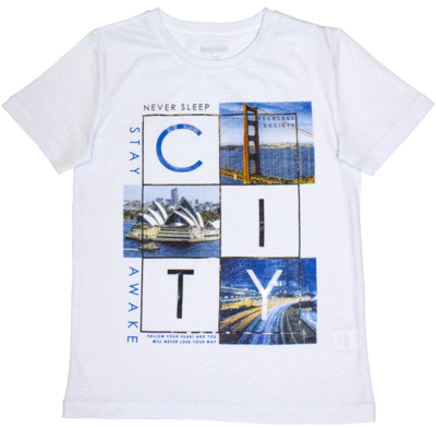   CJBCT06-00 Detbot ()