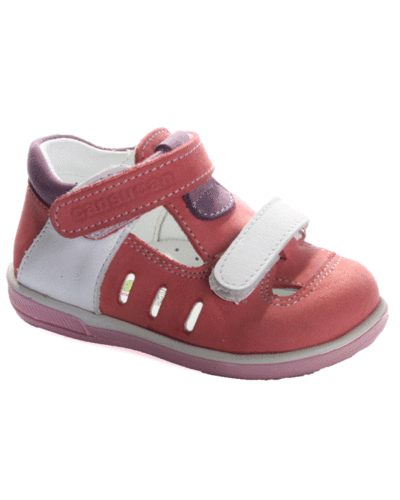 Cansucan �������