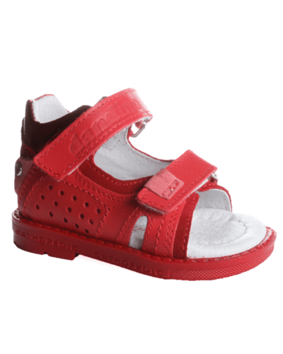 Dandino ���������